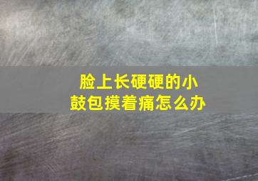 脸上长硬硬的小鼓包摸着痛怎么办