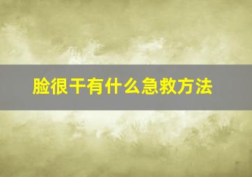 脸很干有什么急救方法