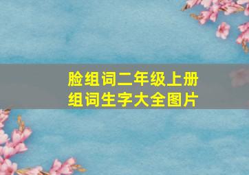 脸组词二年级上册组词生字大全图片