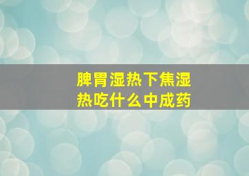 脾胃湿热下焦湿热吃什么中成药