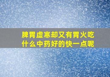 脾胃虚寒却又有胃火吃什么中药好的快一点呢