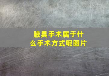 腋臭手术属于什么手术方式呢图片