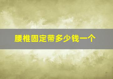 腰椎固定带多少钱一个