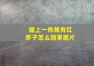 腿上一热就有红疹子怎么回事图片