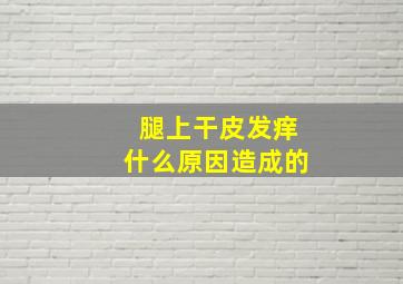 腿上干皮发痒什么原因造成的