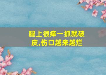 腿上很痒一抓就破皮,伤口越来越烂