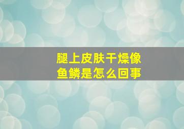 腿上皮肤干燥像鱼鳞是怎么回事