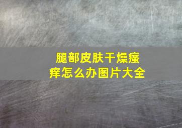 腿部皮肤干燥瘙痒怎么办图片大全