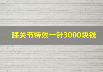 膝关节特效一针3000块钱