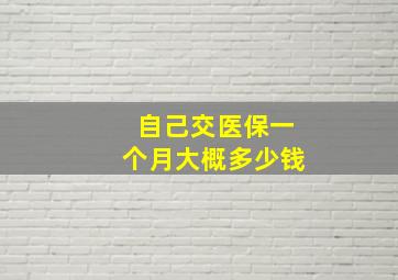 自己交医保一个月大概多少钱