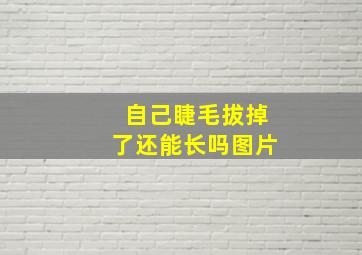 自己睫毛拔掉了还能长吗图片