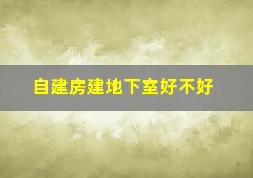 自建房建地下室好不好