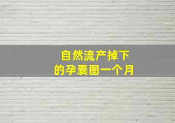 自然流产掉下的孕囊图一个月