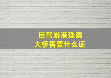 自驾游港珠澳大桥需要什么证