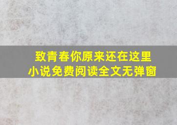 致青春你原来还在这里小说免费阅读全文无弹窗