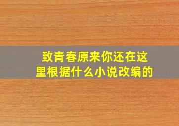 致青春原来你还在这里根据什么小说改编的