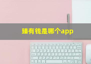 臻有钱是哪个app