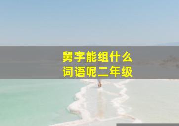 舅字能组什么词语呢二年级