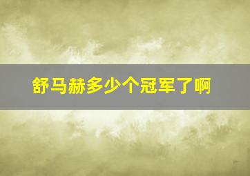 舒马赫多少个冠军了啊