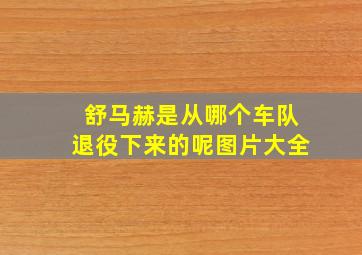 舒马赫是从哪个车队退役下来的呢图片大全