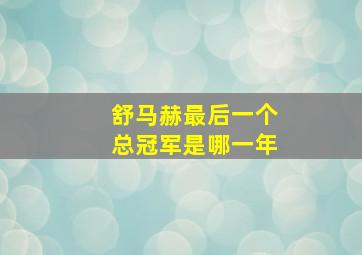 舒马赫最后一个总冠军是哪一年