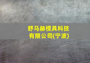 舒马赫模具科技有限公司(宁波)