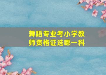 舞蹈专业考小学教师资格证选哪一科