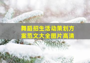 舞蹈招生活动策划方案范文大全图片高清