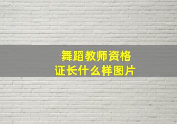 舞蹈教师资格证长什么样图片