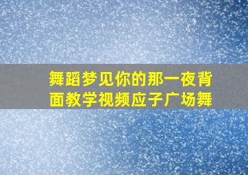 舞蹈梦见你的那一夜背面教学视频应子广场舞