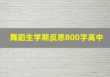 舞蹈生学期反思800字高中