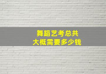 舞蹈艺考总共大概需要多少钱