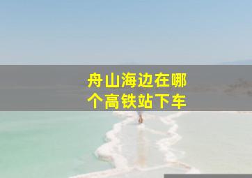 舟山海边在哪个高铁站下车