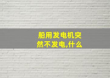 船用发电机突然不发电,什么