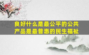 良好什么是最公平的公共产品是最普惠的民生福祉