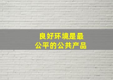 良好环境是最公平的公共产品