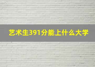 艺术生391分能上什么大学