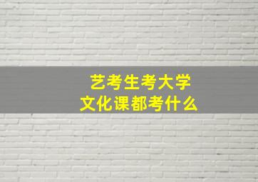 艺考生考大学文化课都考什么