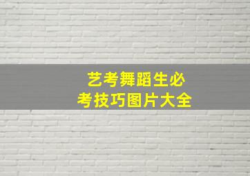 艺考舞蹈生必考技巧图片大全