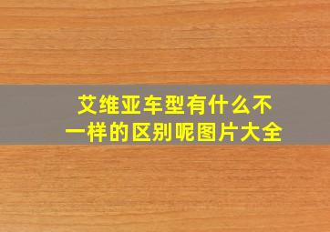 艾维亚车型有什么不一样的区别呢图片大全