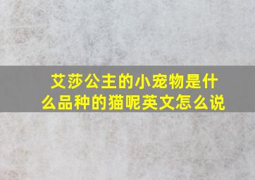 艾莎公主的小宠物是什么品种的猫呢英文怎么说