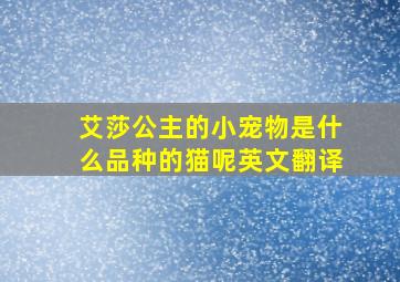 艾莎公主的小宠物是什么品种的猫呢英文翻译