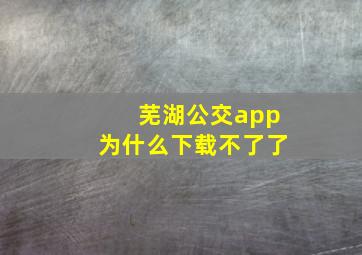 芜湖公交app为什么下载不了了