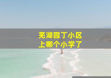 芜湖园丁小区上哪个小学了