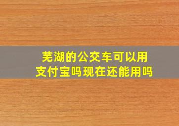 芜湖的公交车可以用支付宝吗现在还能用吗