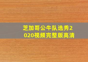 芝加哥公牛队选秀2020视频完整版高清