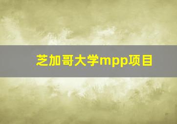 芝加哥大学mpp项目