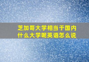 芝加哥大学相当于国内什么大学呢英语怎么说