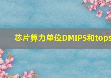 芯片算力单位DMIPS和tops