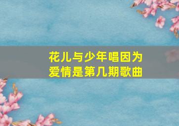 花儿与少年唱因为爱情是第几期歌曲